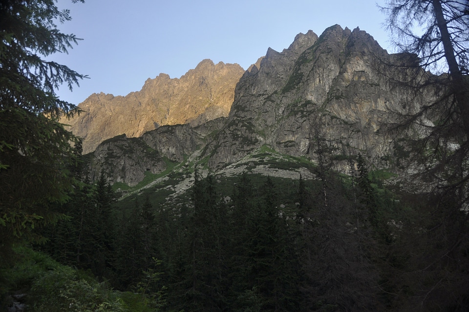 Tatra mountains forest
