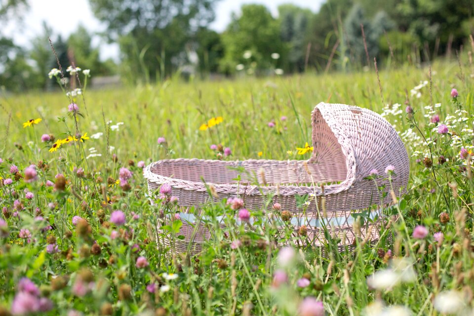 Wildflowers baby child