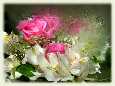 Reflections water drops bouquet
