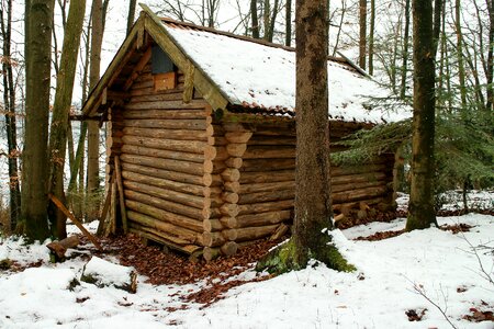 Nature winter house photo
