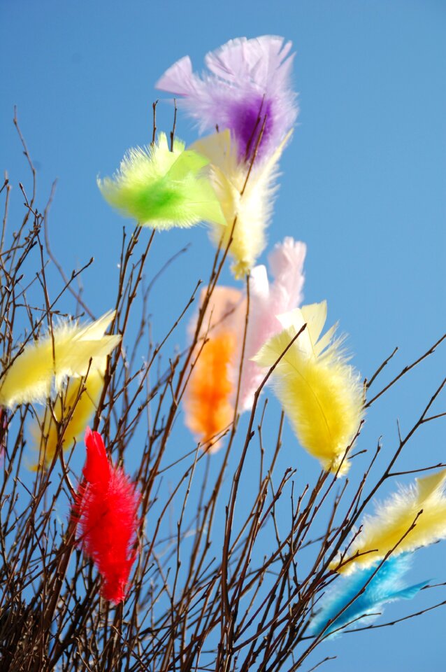 Decoration decorative easter feathers