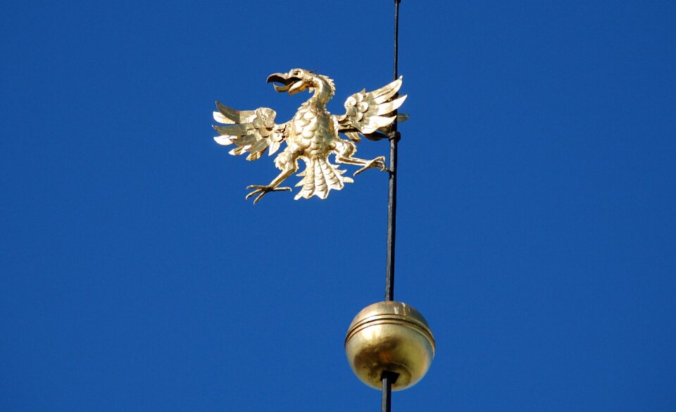 Bird golden bird spire