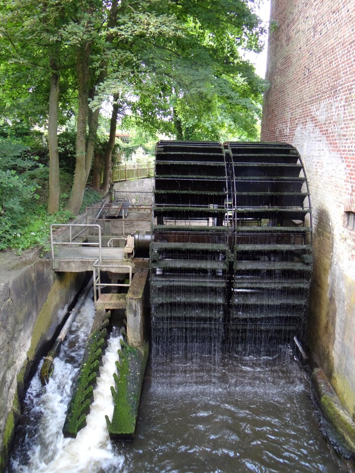 Flowing ribe motion