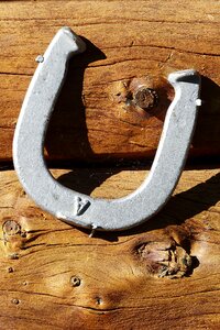 Lucky sign decoration logs