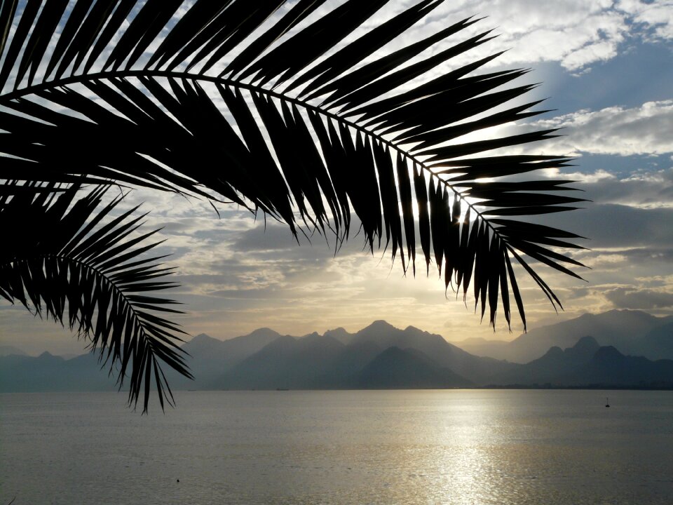 Idyll vacations ocean