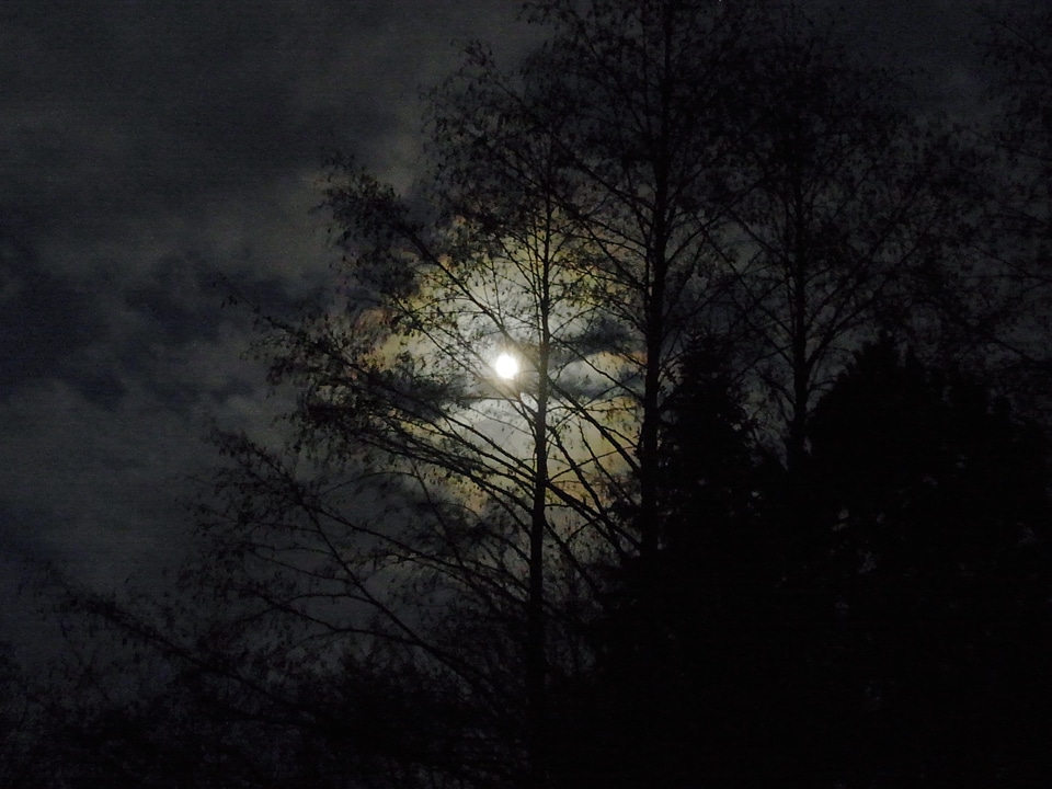 Moon at night moonlight