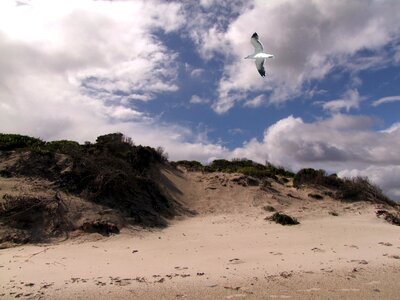 Landscape by the sea bay