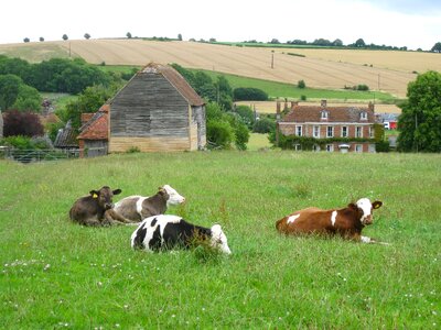 Scenic farm rural photo