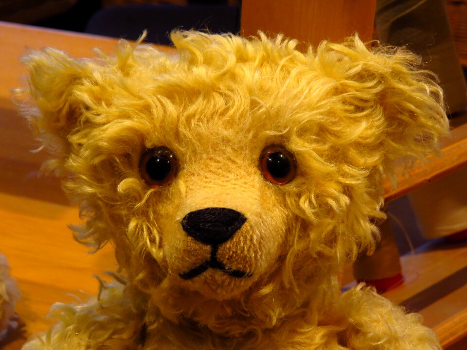 Soft toy teddy bear snuggle