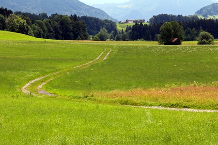 Walk nature landscape photo