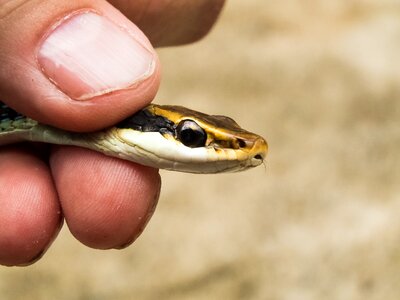 Hold tight small caught