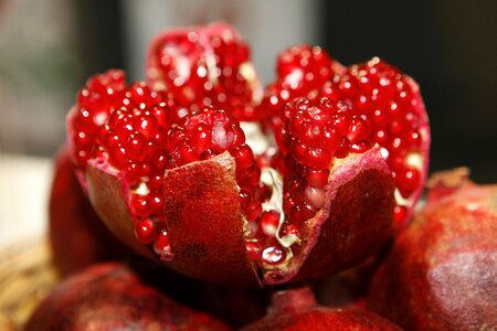 Fruit fruits red