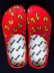 Shoes slippers dutch