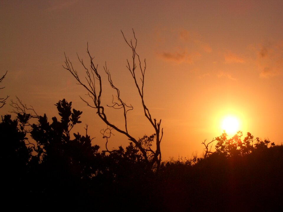 Sunset sun orange