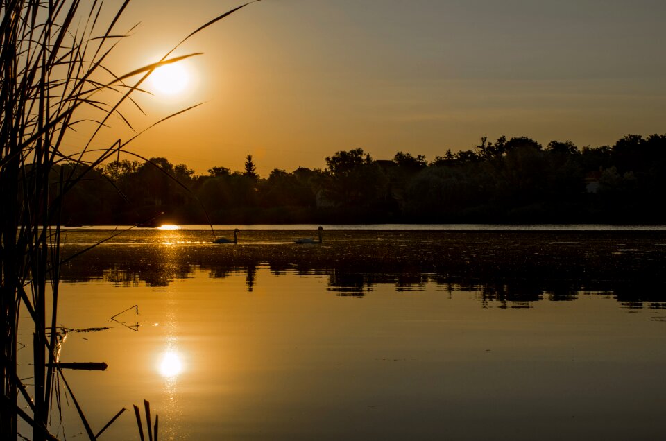Hungary szigetszentmiklós danube