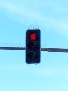 Traffic light signal red shining