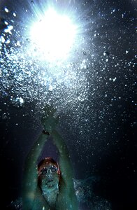 Swimming swim underwater photo