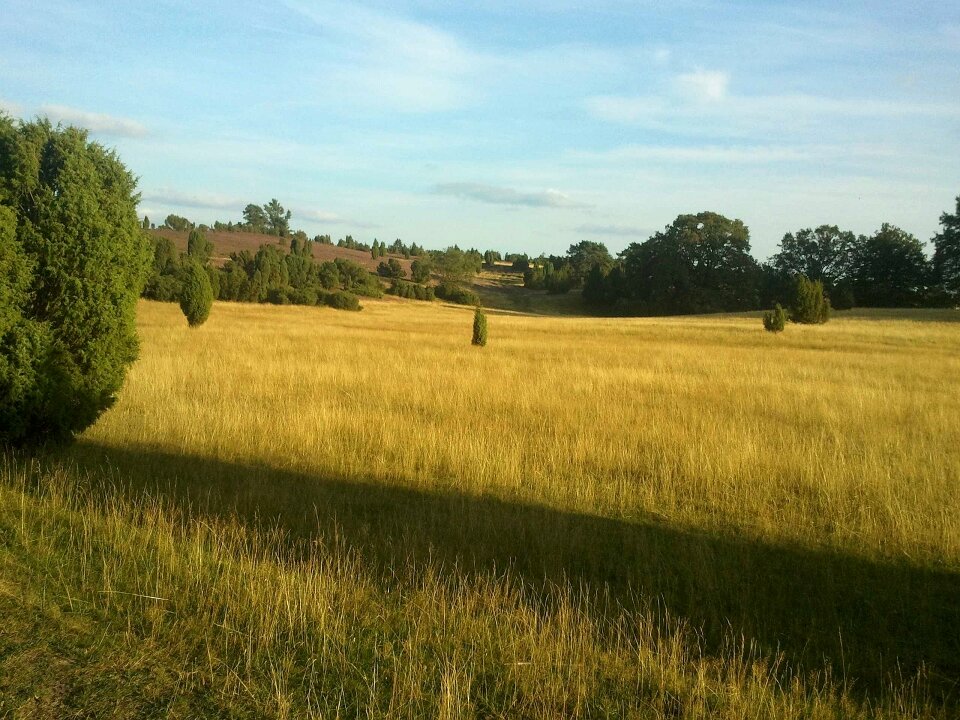 Landscape plant germany