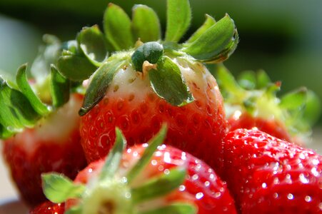 Flavor red fruit