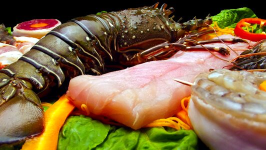 Seafood ocean restaurant