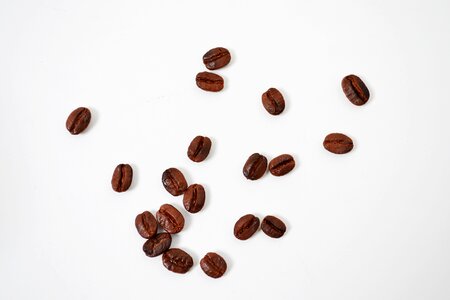 Bean café food