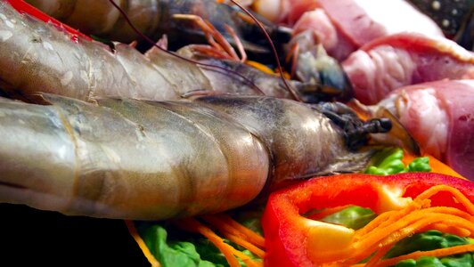 Restaurant delicious crustacean