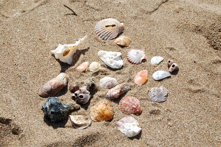 Sea beige nature