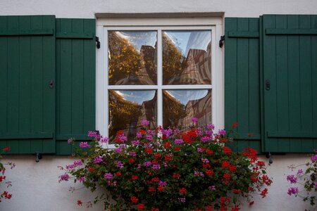 Gwölbtes window glass mirroring shutters