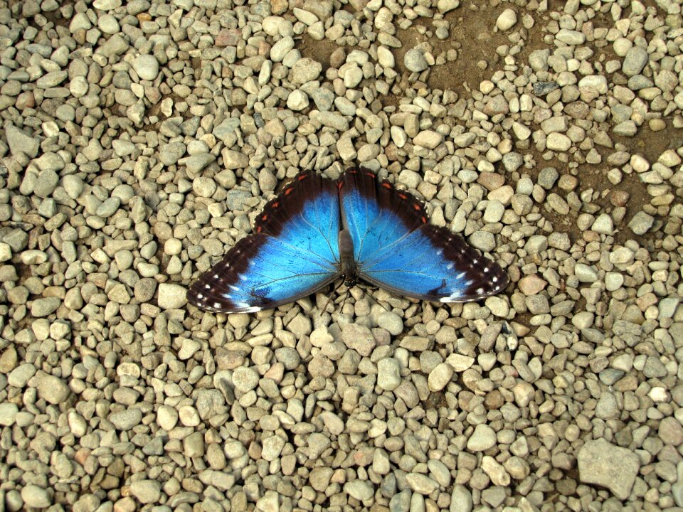 Stone floor rest nature