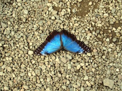 Stone floor rest nature