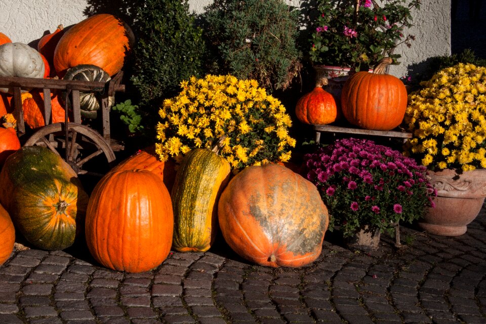 Beautification decoration decorate