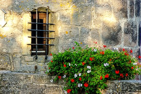 Weathered flowers hauswand