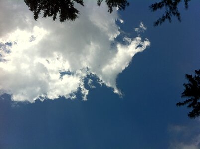Branches frame sky