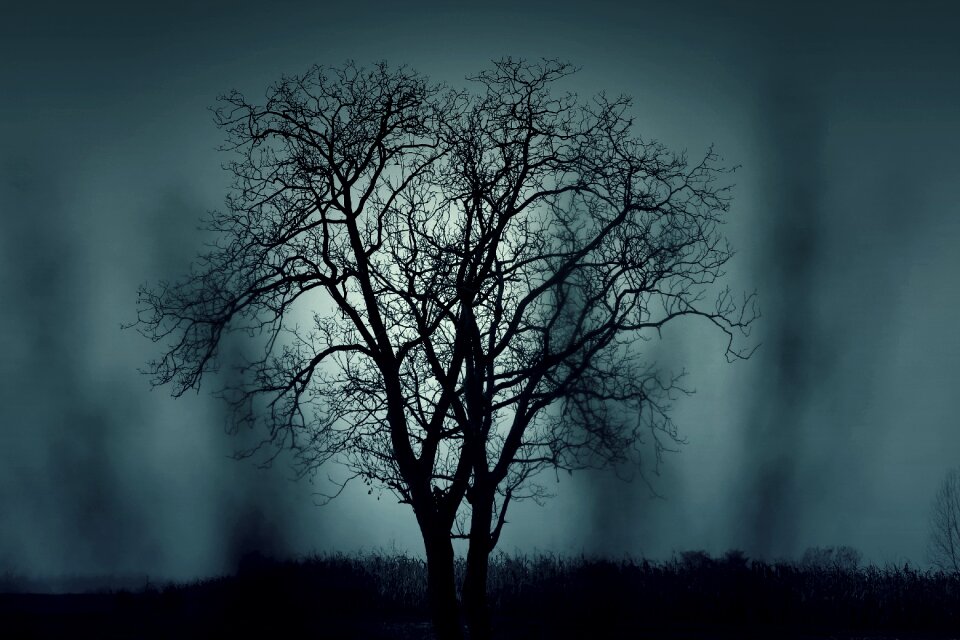 Halloween black dark