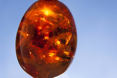 Fossilized resins egg glaere