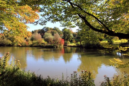 Mirroring autumn water photo