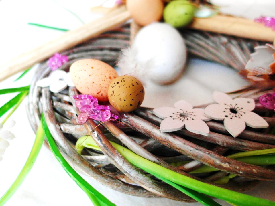 Egg colorful easter celebration