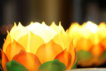 Lotus beautiful china wind