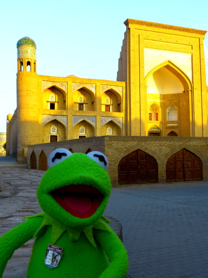 Morgenstimmung uzbekistan kermit frog