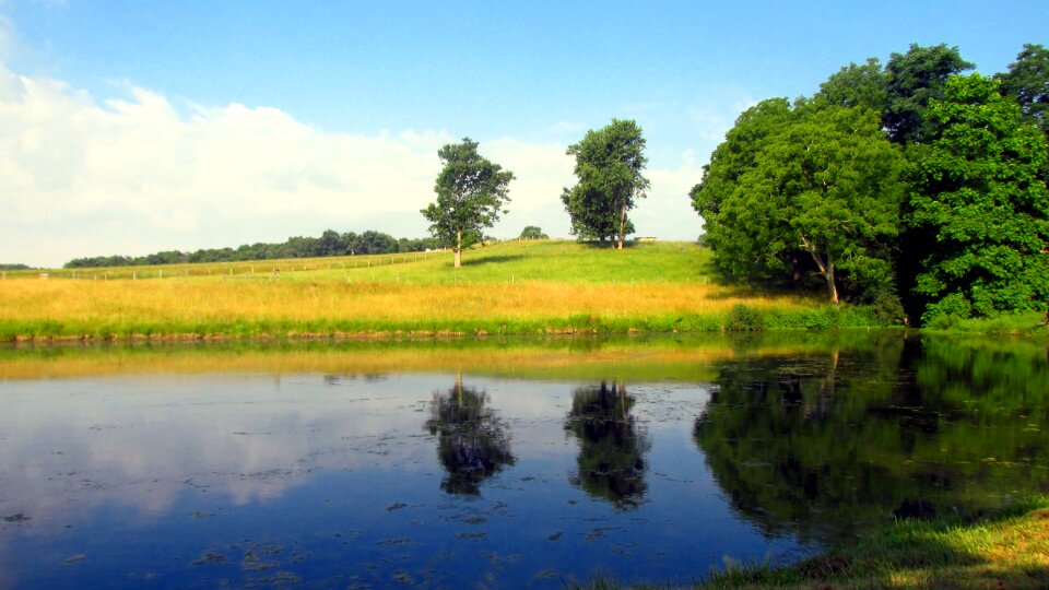 Sky water tree photo