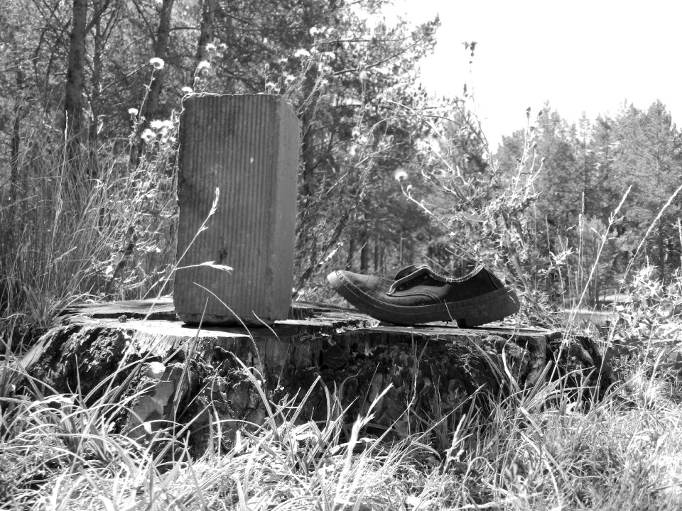 Shoe brick black and white