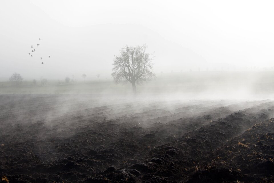 Fog bank fog day november