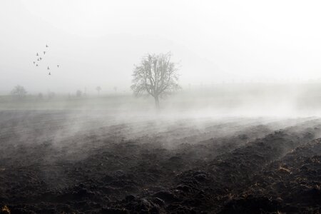 Fog bank fog day november photo