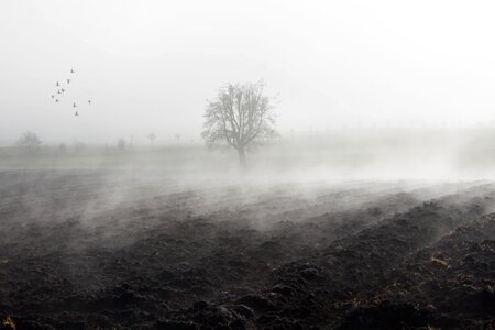 Fog bank fog day november