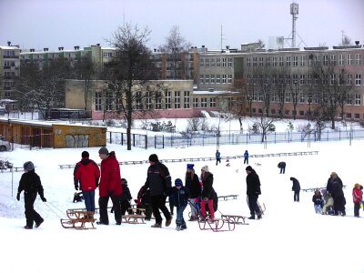 Men playing sled