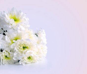 Bouquet celebration congratulations