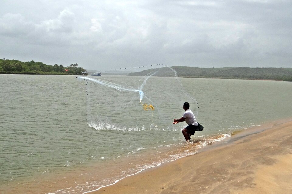 Estuary mouth arabian sea