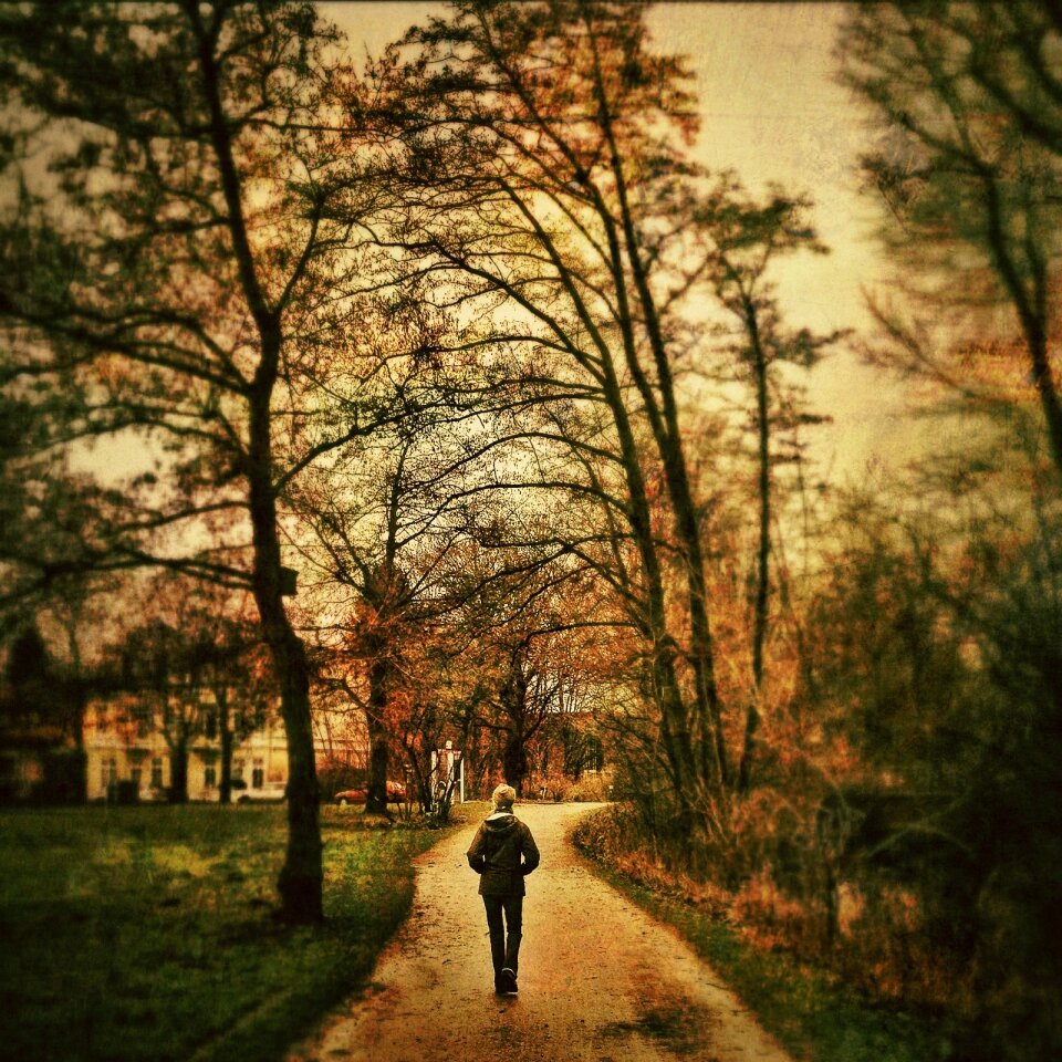 Nature loneliness landscape