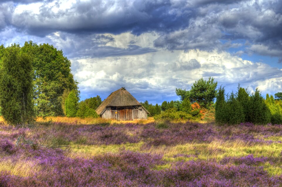 Heather hiking heathland