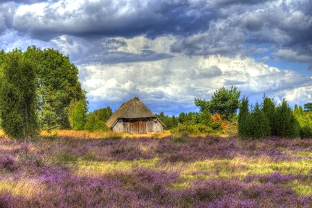 Heather hiking heathland